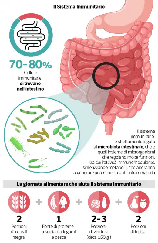 sistema immunitario e dieta 1