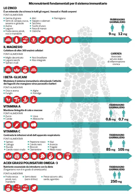 sistema immunitario e dieta 2