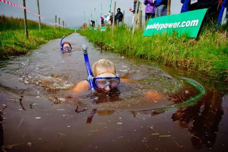 world bog snorkelling championship 4