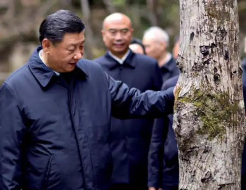 xi jinping in visita alla riserva naturale delle qinling mountains