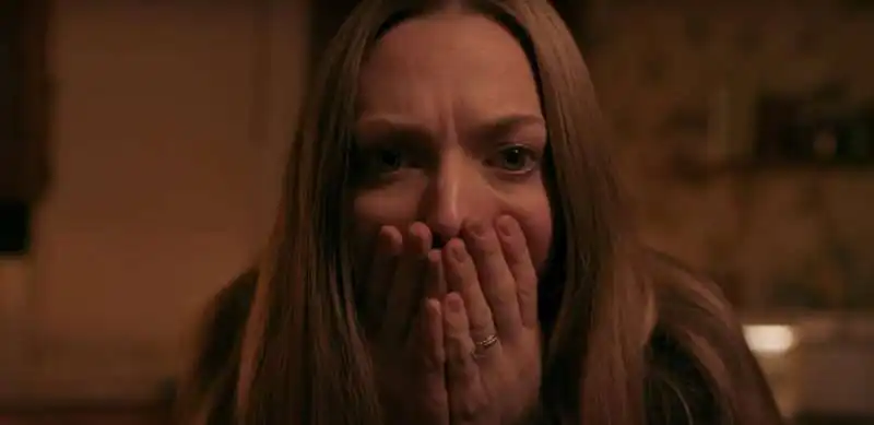 amanda seyfried   l’apparenza delle cose 2