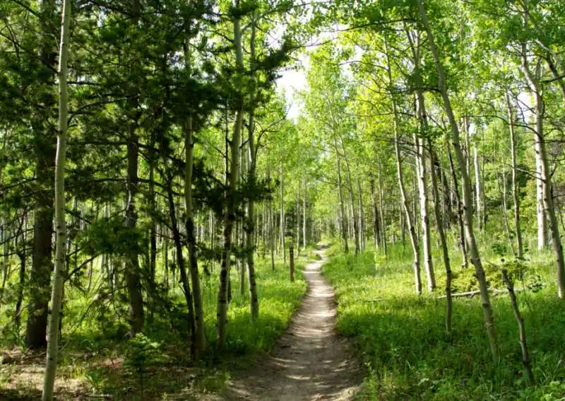 Colorado Parks and Wildlife