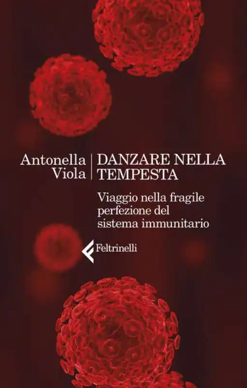 danzare nella tempesta antonella viola 