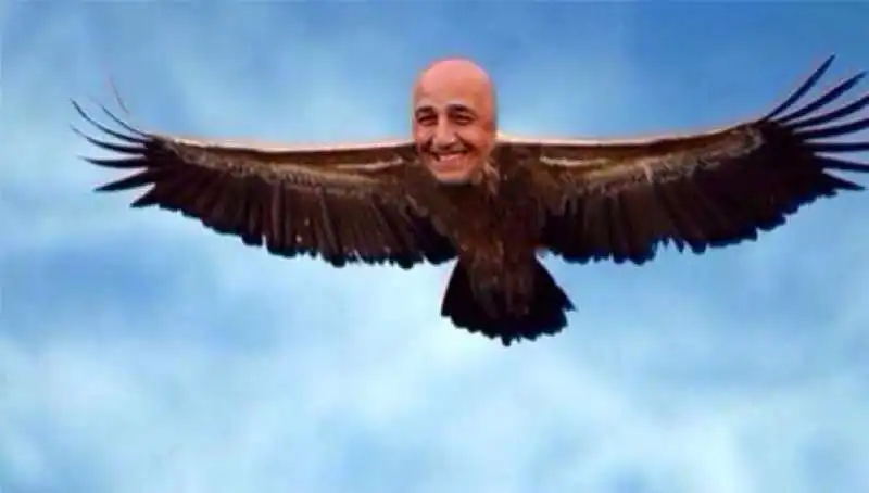 GALLIANI IN VERSIONE CONDOR