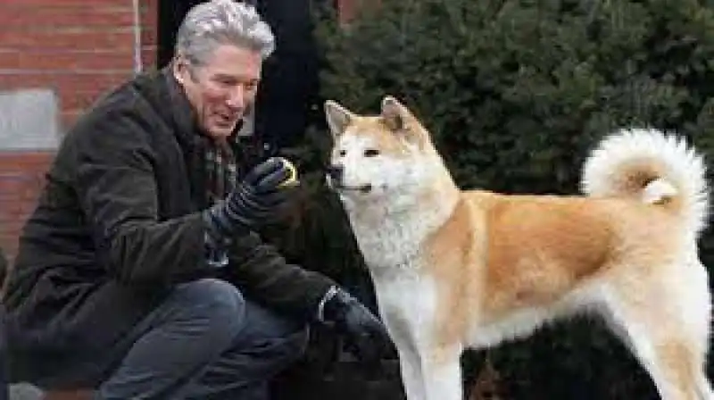 hachiko. il tuo migliore amico