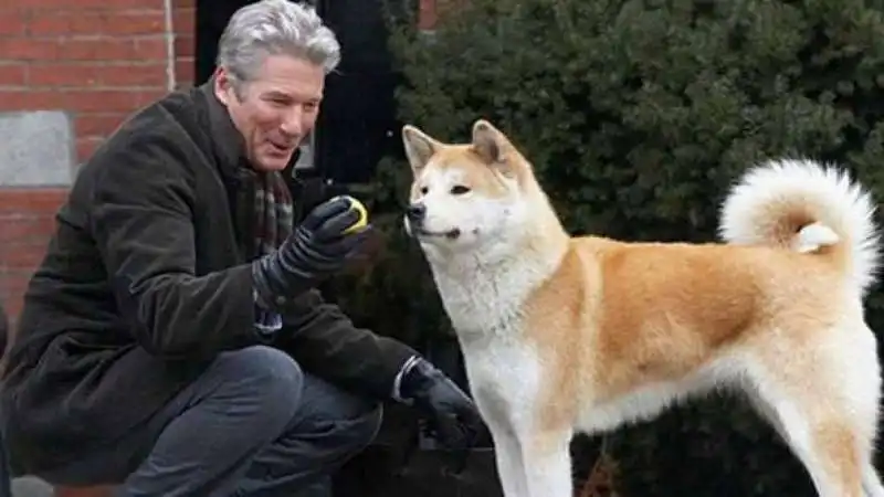 hachiko – il tuo migliore amico 