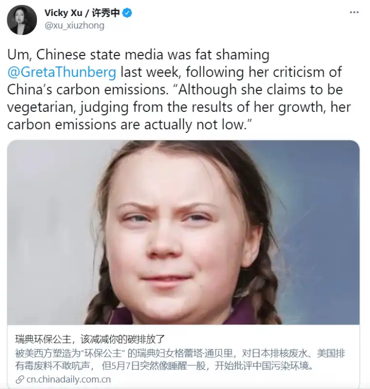 I CINESI FANNO FAT SHAMING SU GRETA THUNBERG 