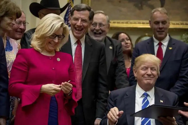 liz cheney e donald trump