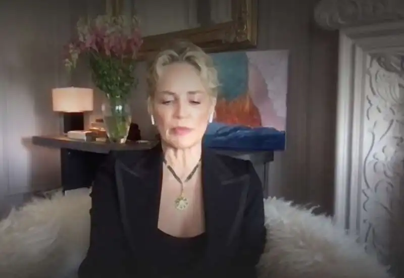 sharon stone alla tv francese 2