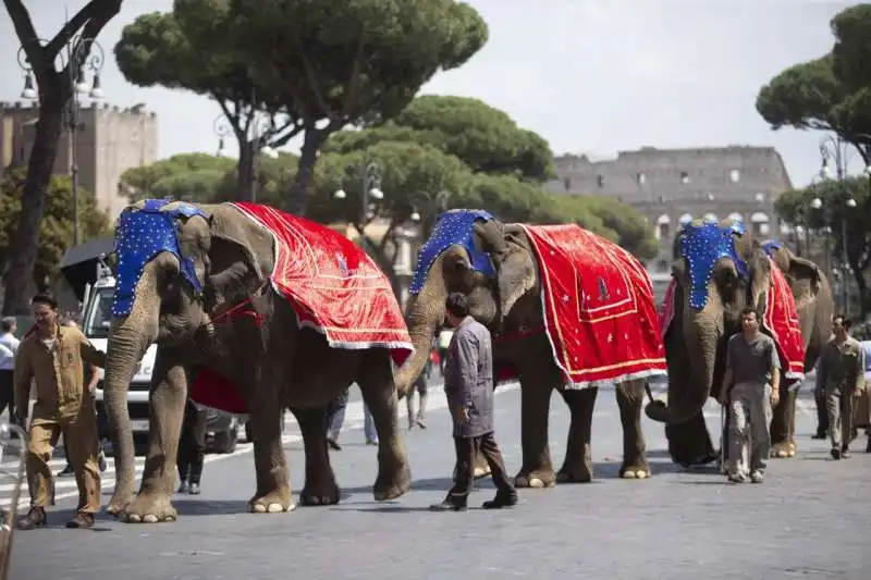 ELEFANTI AI FORI IMPERIALI PER IL SOL DELLAVVENIRE DI NANNI MORETTI 