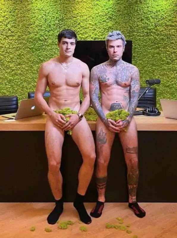 fedez luis sal  1