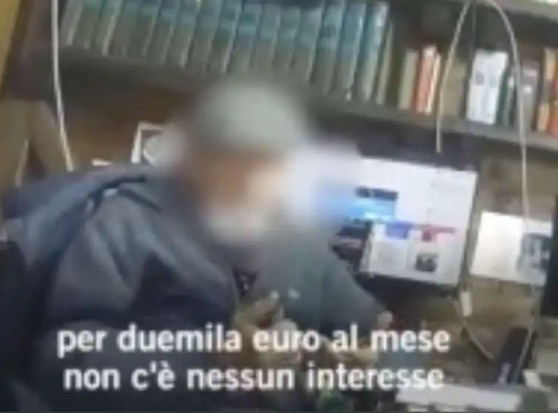 il video dell allevatore di tigri a latina 10