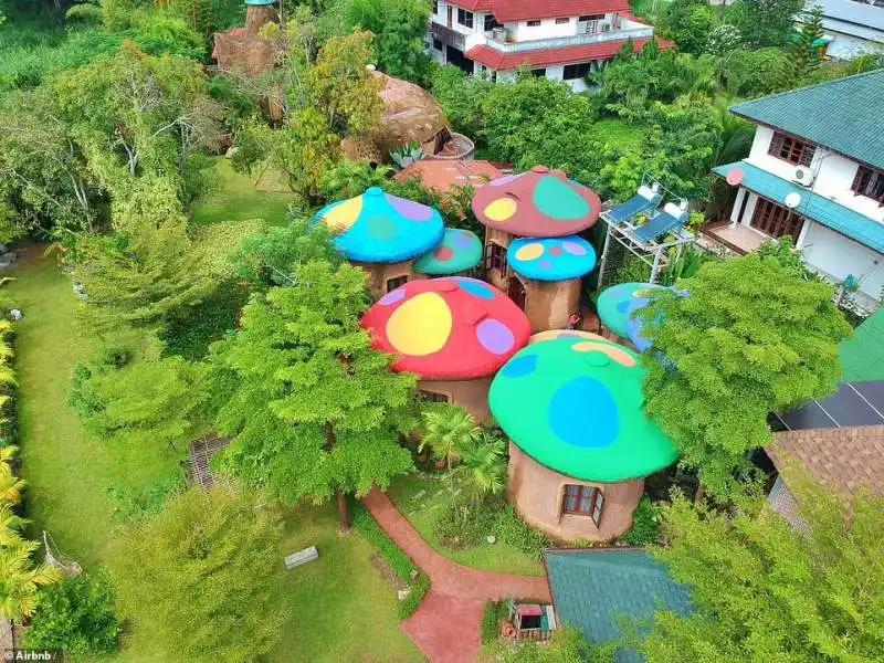 leafy greens, chiang mai, thailand  2