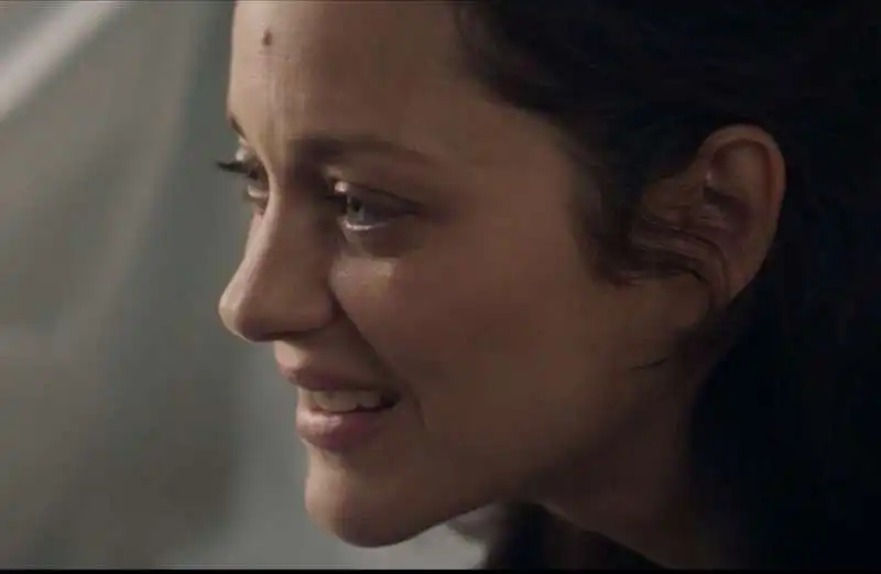 marion cotillard   frere et soeur   4