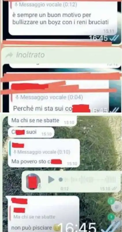 MESSAGGI DEI BULLI CONTRO IL RAGAZZO DI PORDENONE MALATO AI RENI 