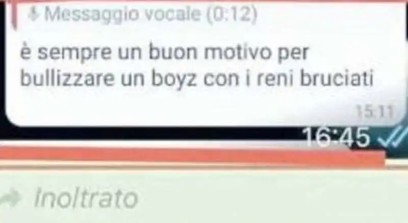 MESSAGGI DEI BULLI CONTRO IL RAGAZZO DI PORDENONE MALATO AI RENI 