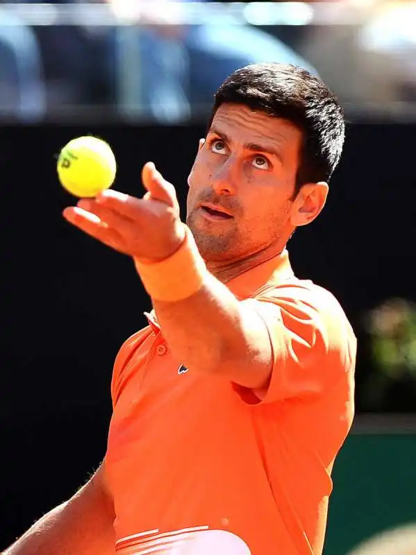 nole djokovic   foto mezzelani  gmt386