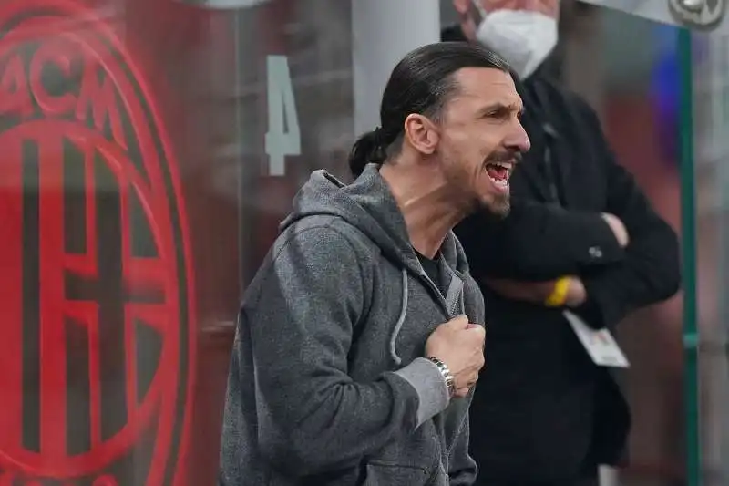 zlatan ibrahimovic 7