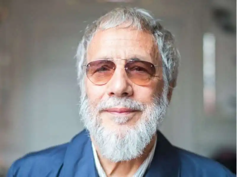 cat stevens yusuf islam 8