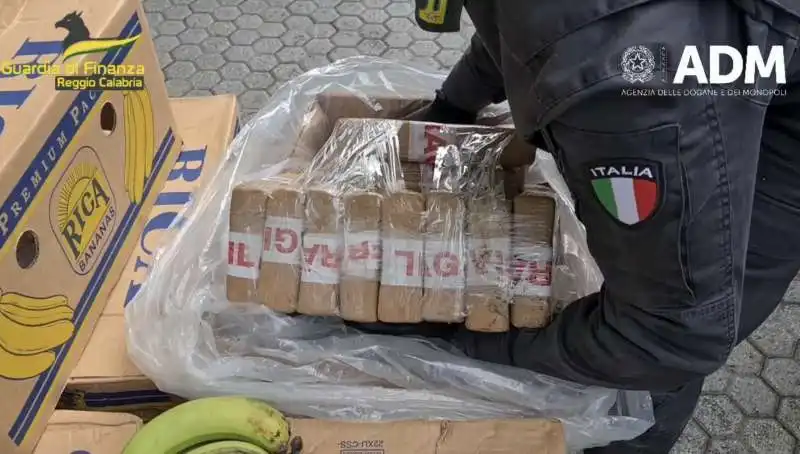 cocaina nascosta in un carico di banane   sequestro a gioia tauro 1