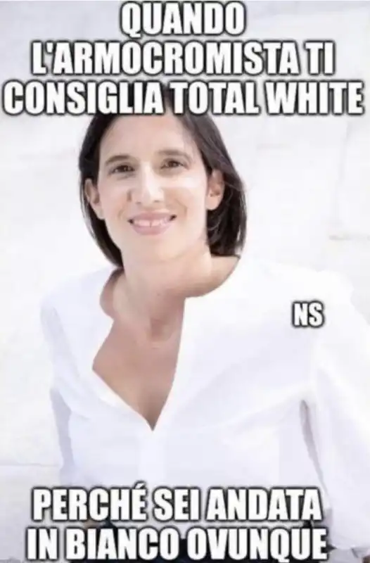 ELLY SCHLEIN - MEME DOPO LA SCONFITTA ALLE AMMINISTRATIVE