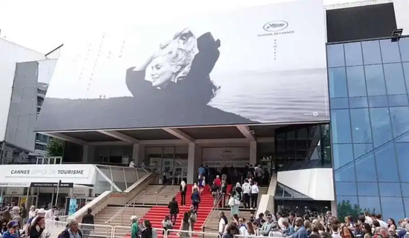 festival di cannes