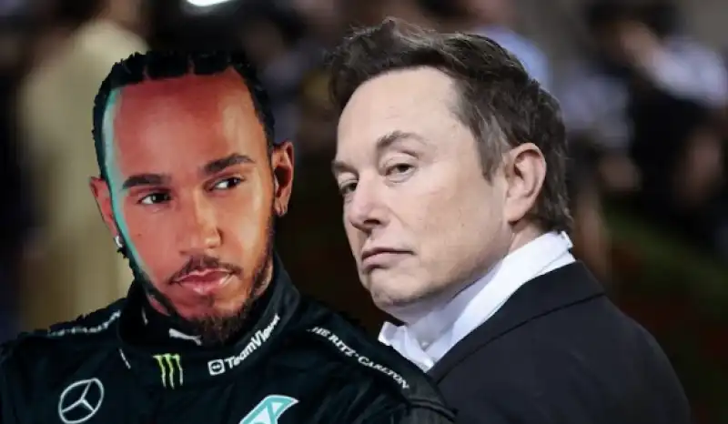 HAMILTON MUSK