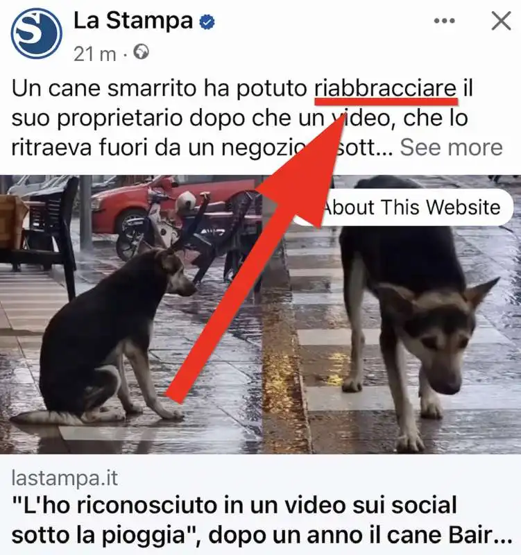 la stampa, il cane con le braccia 