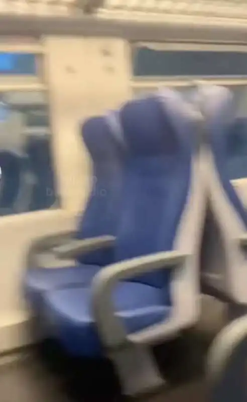 milano   molestie sul treno   6