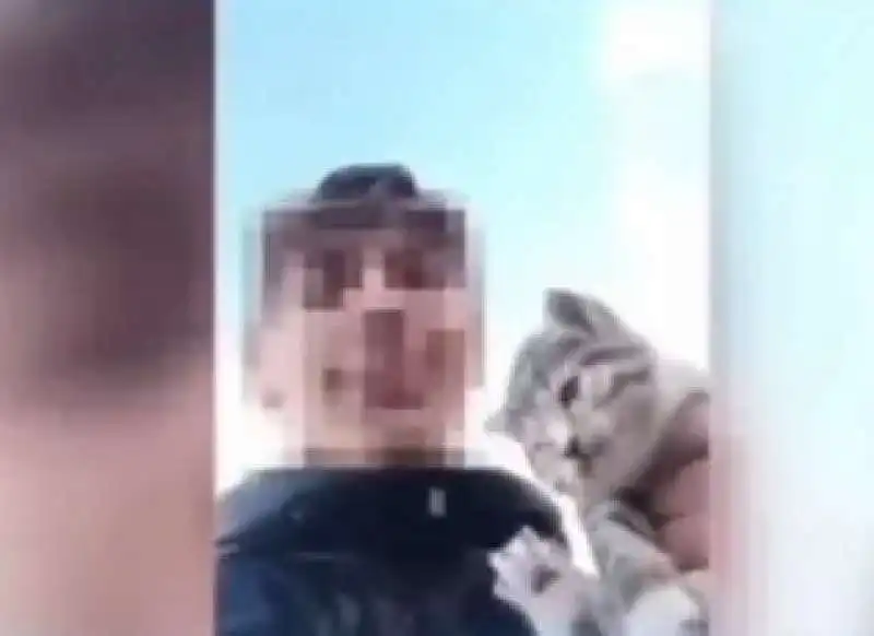 ragazzo si filma mentre getta gatto disabile in un dirupo 