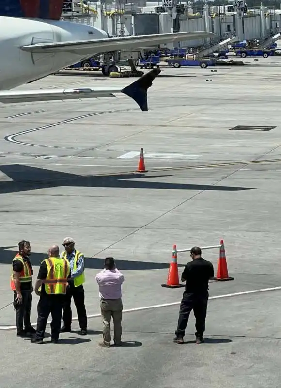 sciame di api sull ala di un aereo a houston 2