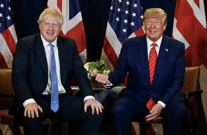 boris johnson   donald trump 