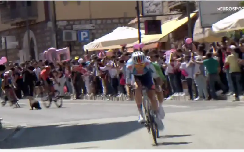 giro d'italia cane attraversa la strada