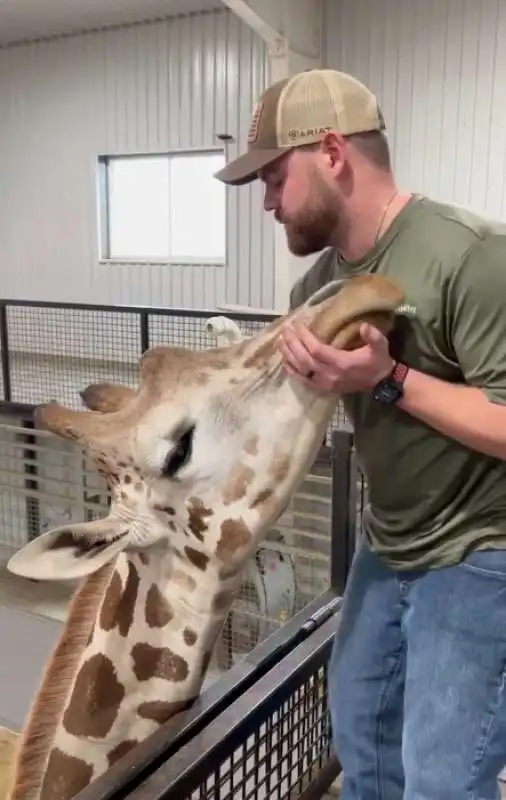 il chiropratico joren whitley e la giraffa 2