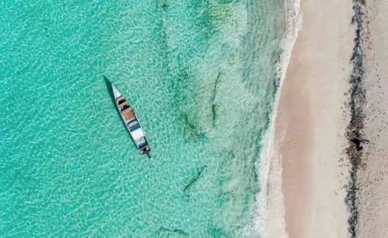 isola di Socotra in Yemen