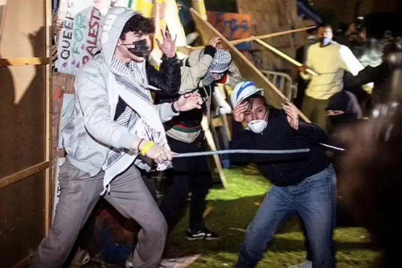 proteste e scontri alla ucla   8