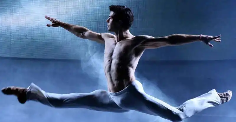 roberto bolle copia