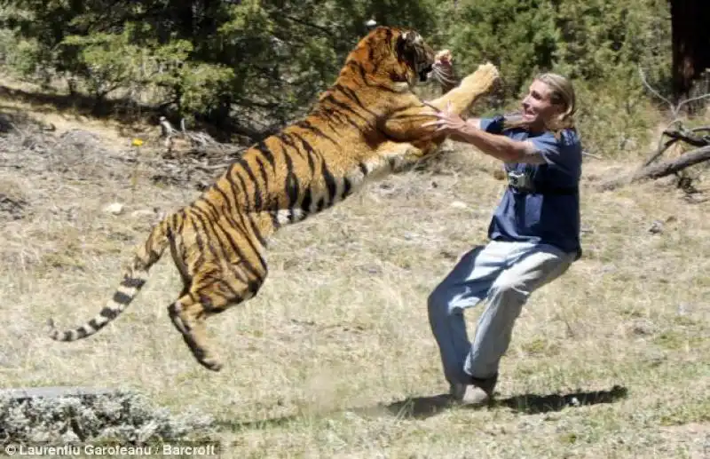 ADDESTRATORE RANDY MILLER CON LA SUA TIGRE EDEN 