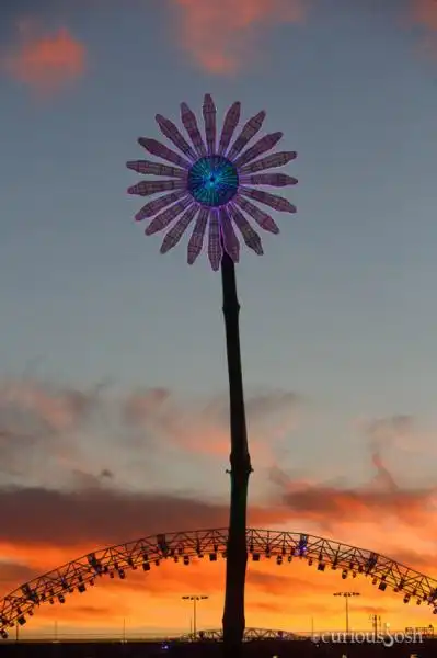 ELECTRICDAISY 