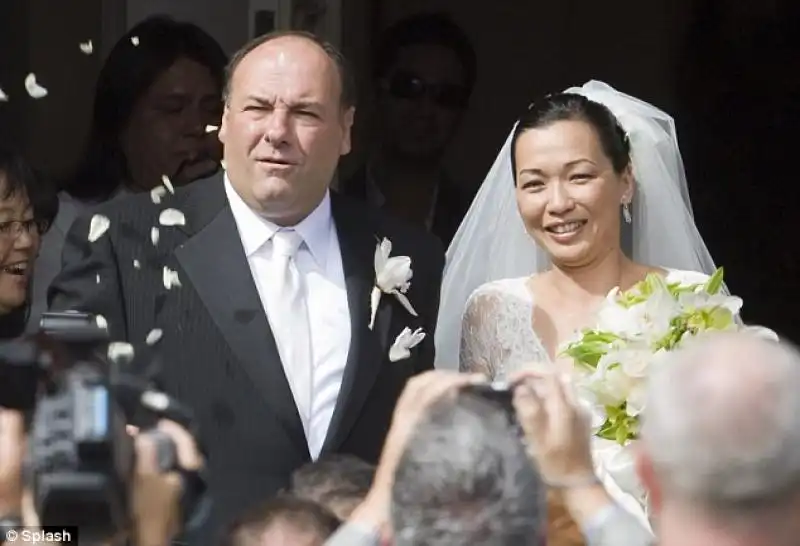 JAMES GANDOLFINI E MOGLIE article A DC x 