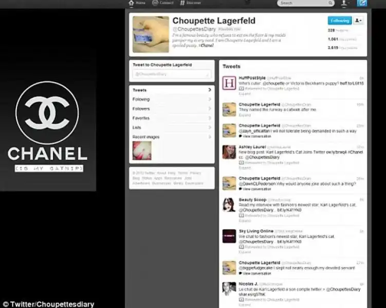 IL PROFILO TWITTER DELLA GATTA DI KARL LAGERFELD CHOUPETTE 