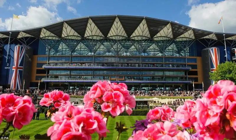 ascot2014 30