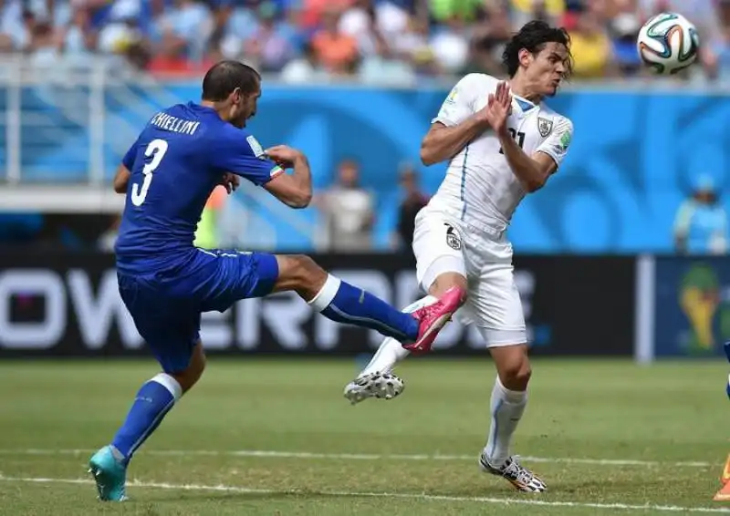 CHIELLINI, CAVANI