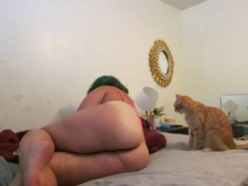 indifferent cats in amateur porn 4