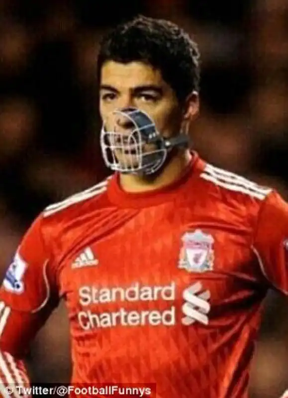 suarez cannibale