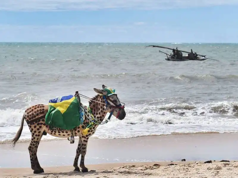 sulla spiaggia di fortaleza