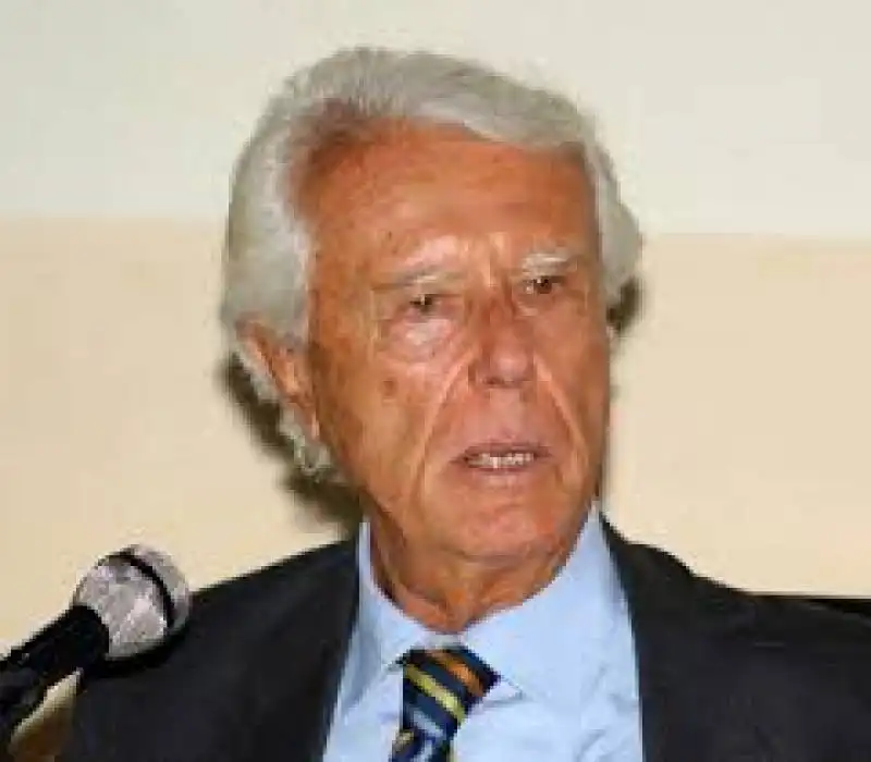 alvise zorzi 5