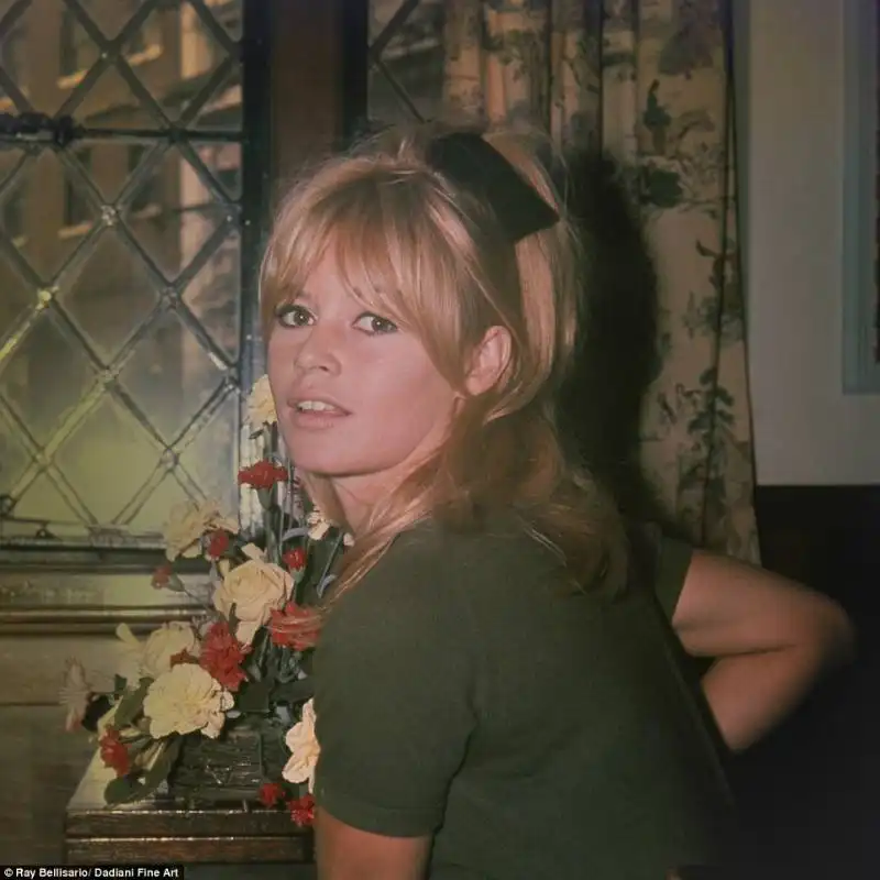 brigitte bardot 2