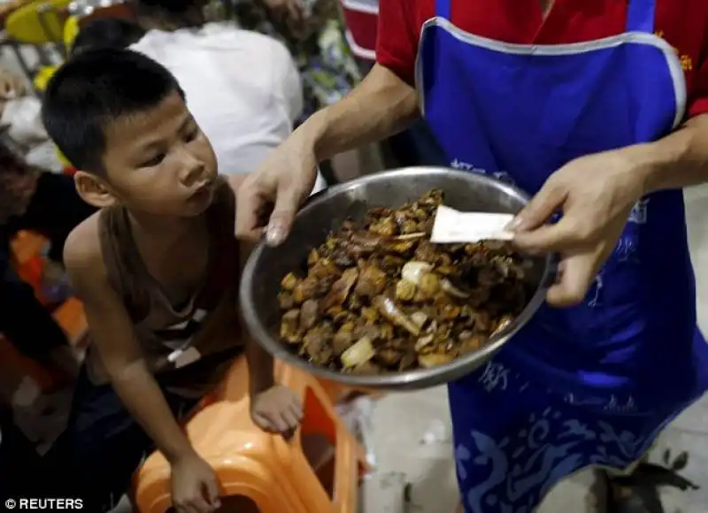 cena a base di cane a yulin festival