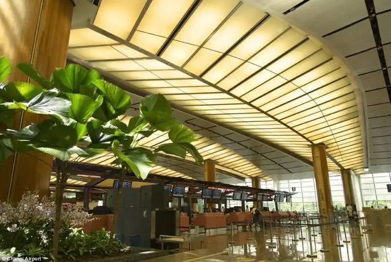 changi singapore 6